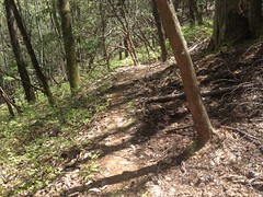 Walnut Gap Trail 