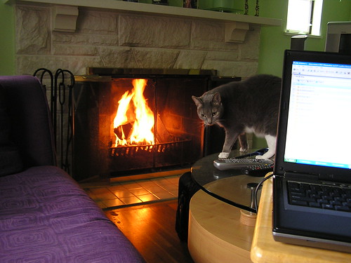 Day 2: Now THIS is what I call telecommuting...