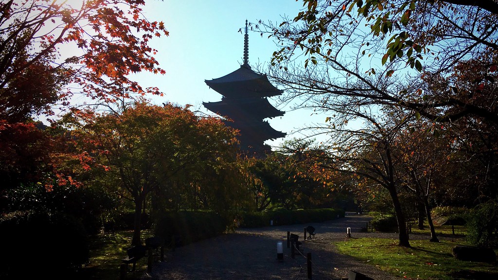 Photo of To-ji Temple (20161103)