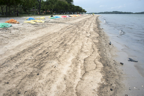 Oil spill in the Johor Strait (4 Jan 2017) from Changi Point, Carpark 1