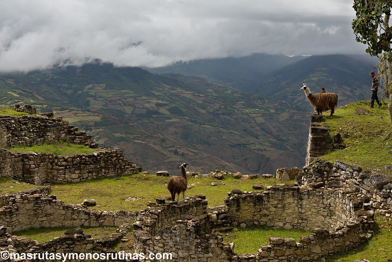 Kuelap. Antigua capital de los Chachapoyas, entre lo práctico y lo simbólico - Por el norte de PERÚ. De los glaciares a la selva (11)