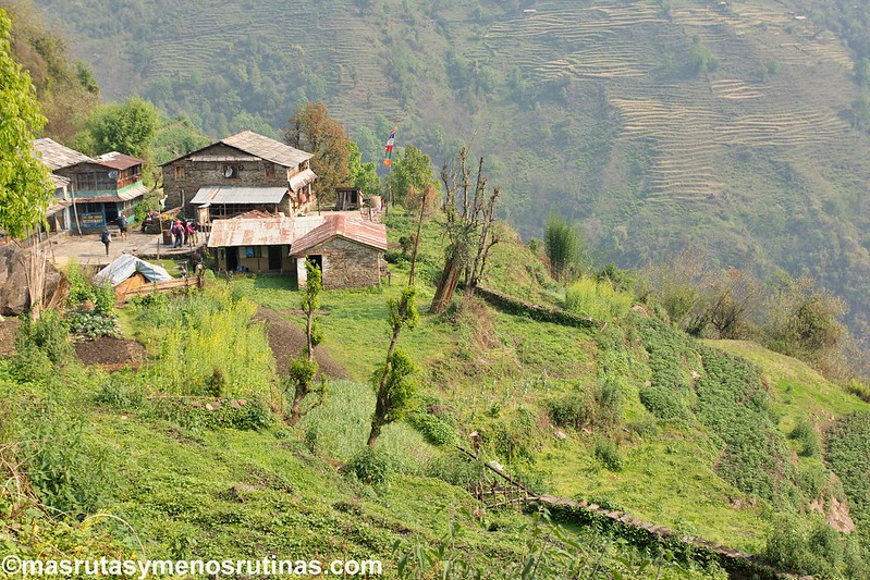 NEPAL 2016. Trek al Annapurna Sanctuary (ABC) - Blogs de Nepal - Trek ABC. De Chuille (2270 m) a Sinuwa (2320 m) (3)