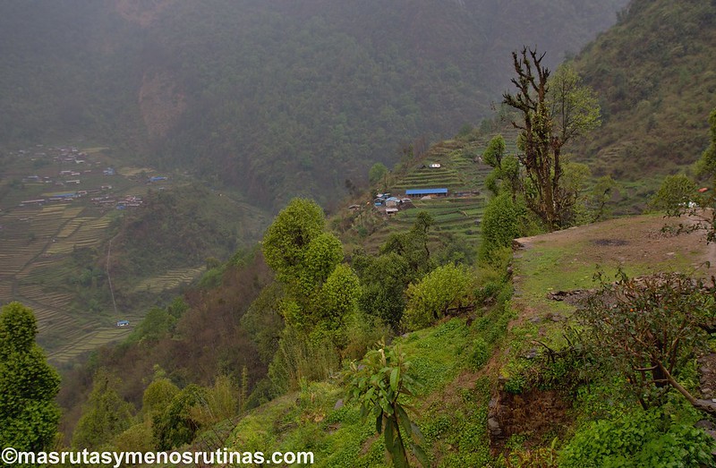 NEPAL 2016. Trek al Annapurna Sanctuary (ABC) - Blogs de Nepal - Trek ABC. De Chuille (2270 m) a Sinuwa (2320 m) (17)
