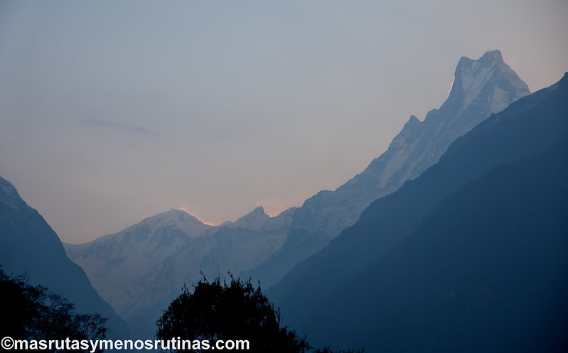 Trek ABC. De Sinuwa (2320 m) a Deurali (3150 m) - NEPAL 2016. Trek al Annapurna Sanctuary (ABC) (2)