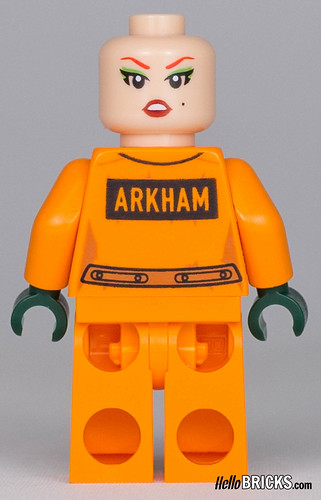 Review LEGO 70912 The LEGO Batman Movie Arham Asylum
