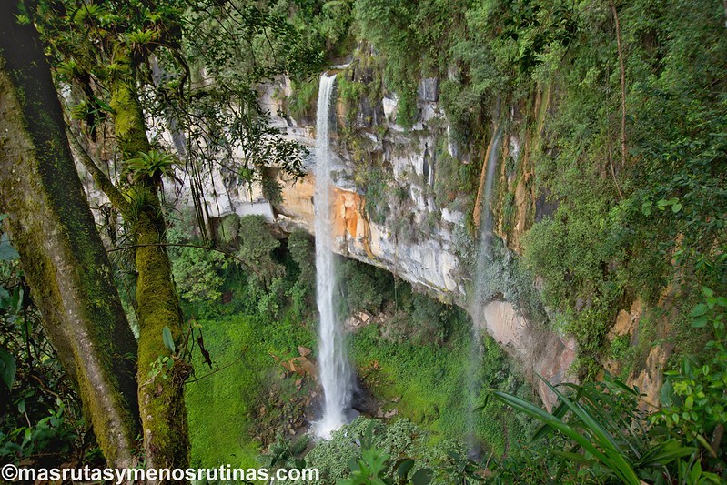 Yumbilla. Cataratas en el bosque primario de Cuispes - Por el norte de PERÚ. De los glaciares a la selva (11)