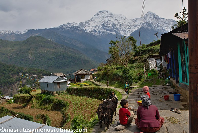 Trek ABC. De Jhinu (1750 m) a Pothana (2000 m) - NEPAL 2016. Trek al Annapurna Sanctuary (ABC) (18)