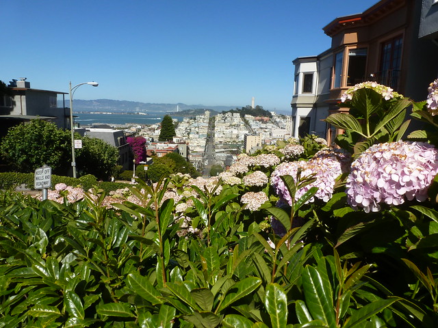 En Ruta por los Parques de la Costa Oeste de Estados Unidos - Blogs de USA - Golden Gate Park. Varios. Alcatraz. SAN FRANCISCO (54)