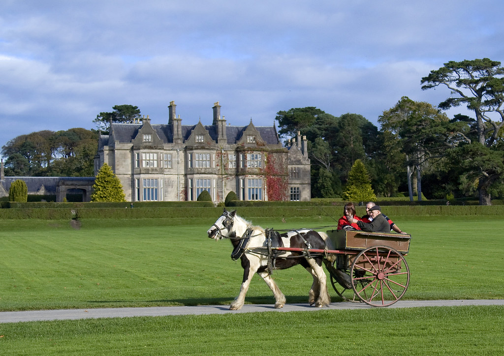 Enjoy with Your Family in Killarney, Ireland with these Activities