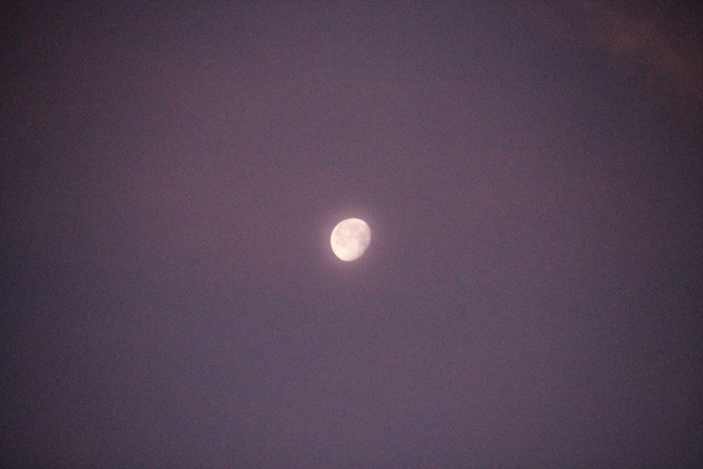 the moon, my girlfriend