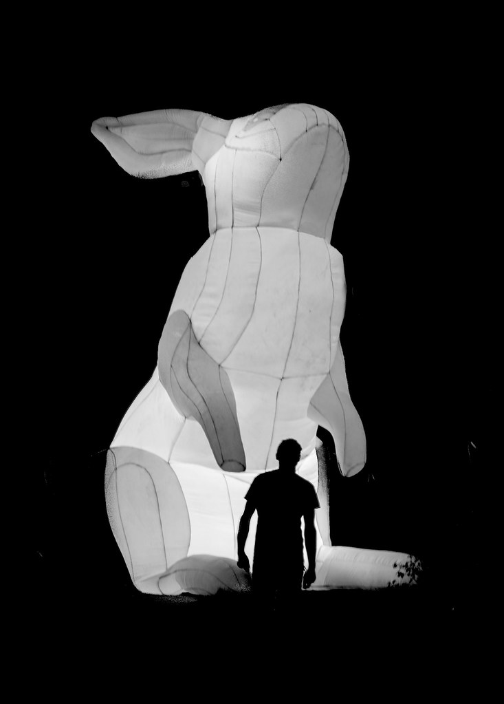 civic bunny | by patrix