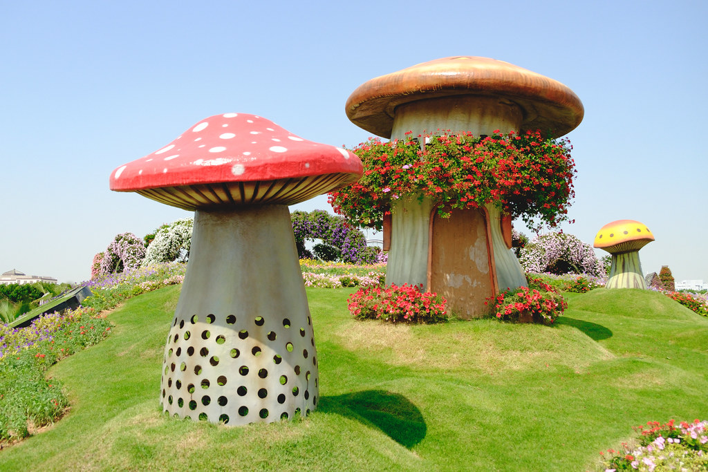 Colorful Floral Paradise In Dubai Miracle Garden
