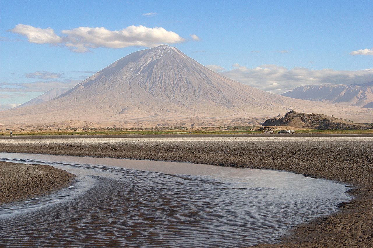 Birds Turned Into Statues At Lake Natron