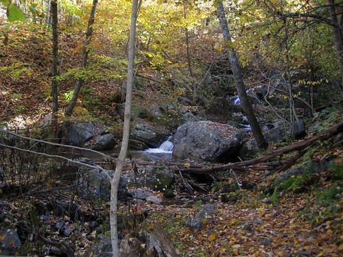 Ivy Creek 2006