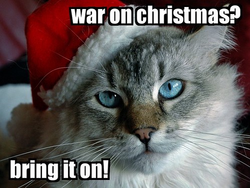 war on christmas cat