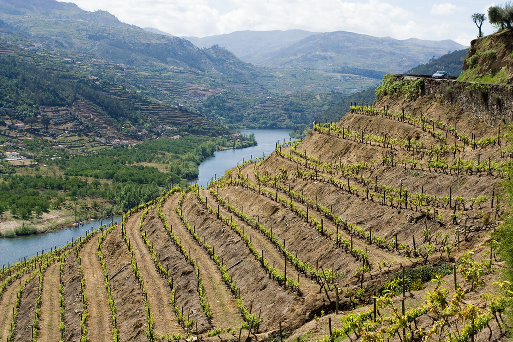 Douro Valley Has Tradition Of Winemaking Longer Than 2,000 Years