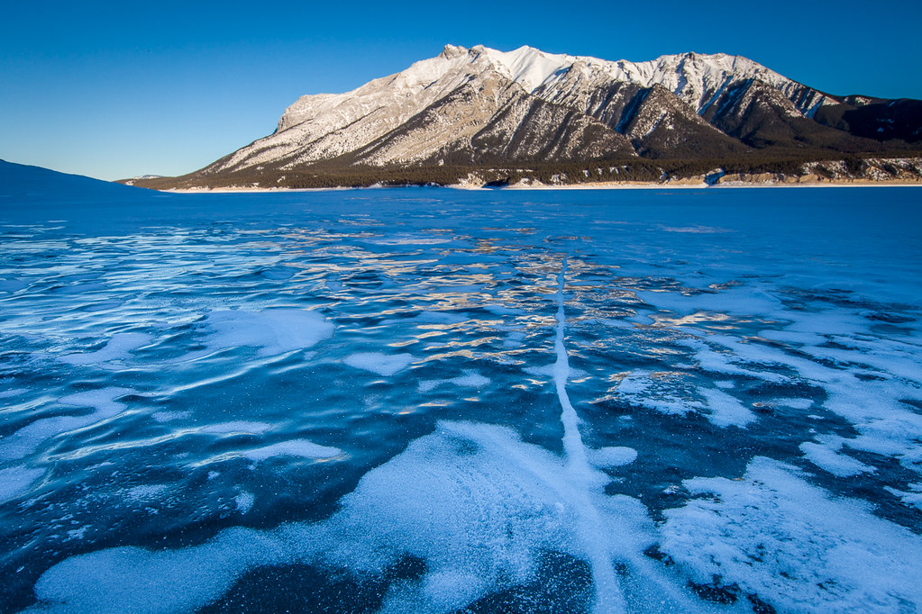 Frozen Bubbles Under The Surface Of Lake Abraham