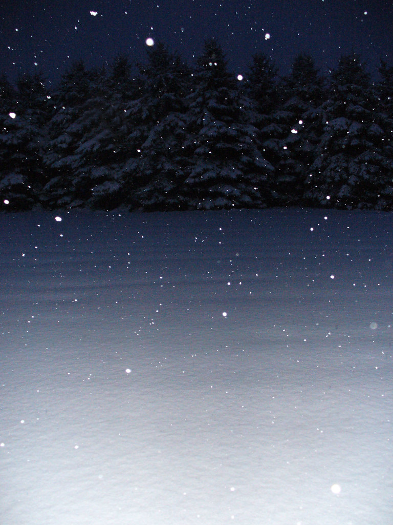 snow & trees