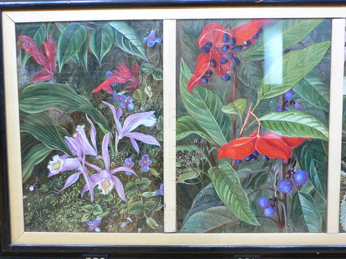 Paintings in the Marianne North Gallery at Kew