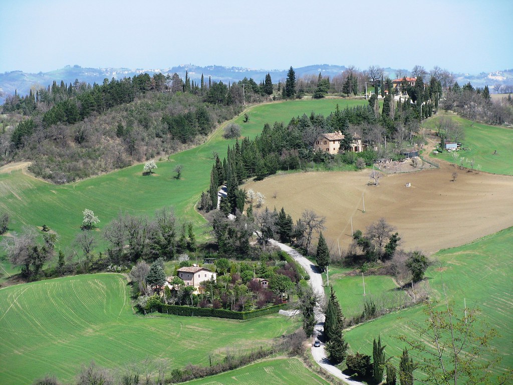 Marche hillside