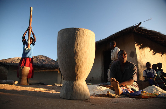 Women pounding grain for the evening meal in Khulungira Village, in central Malawi