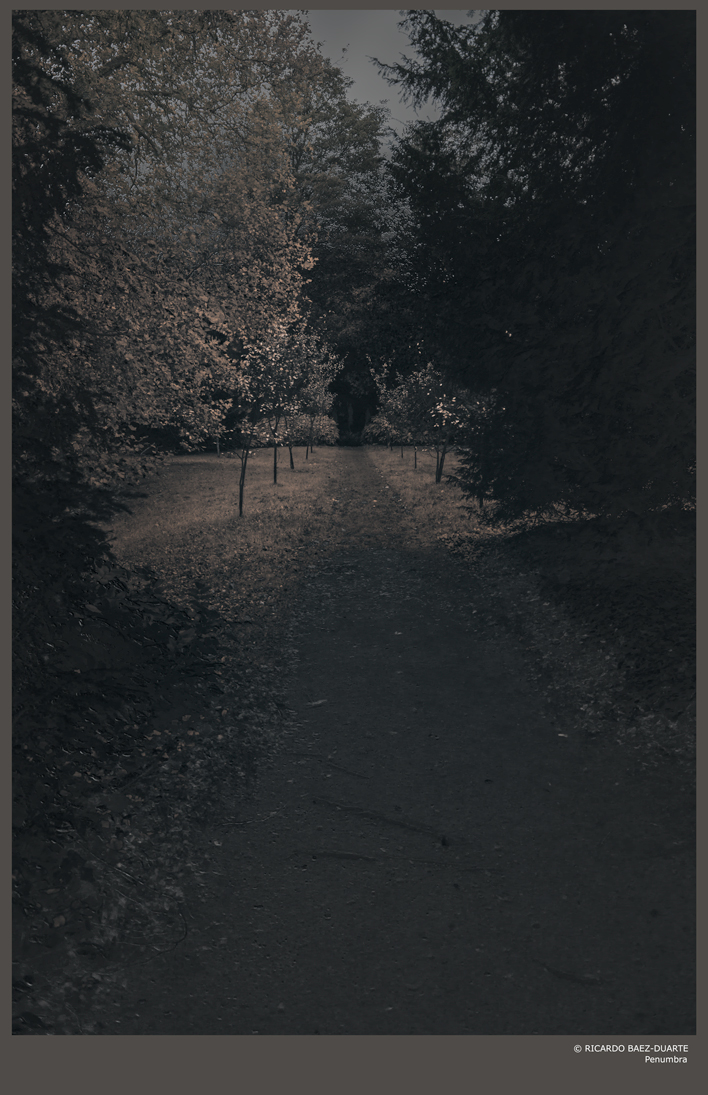 Twilight. Anglessey Abbey