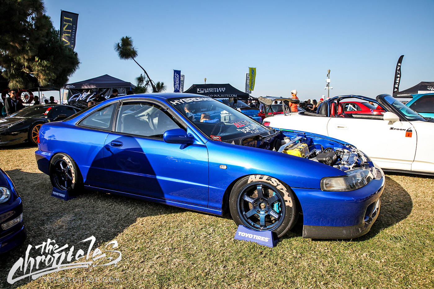 IMG_8633-Edit