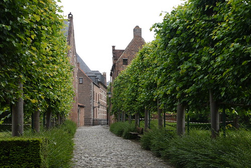 The Large Beguinage
