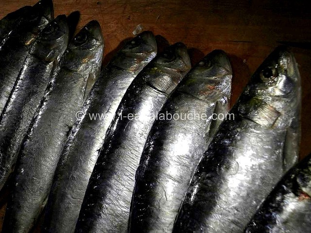 Sardines Marinées & Grillées  © Ana Luthi Tous droits réservés 04