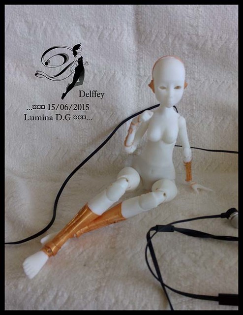 Compagnon Doll R.IP 01 G vers 1