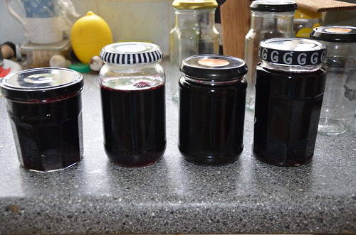 blackcurrant and gooseberry jelly June 15 2