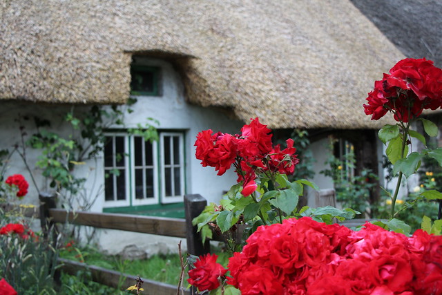 Thatched cottage in Adare