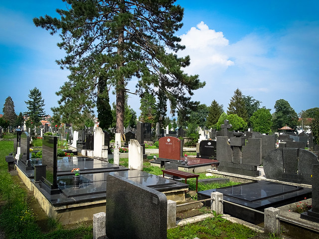 Serbia 2014 - A Graveyard in Kraljevo