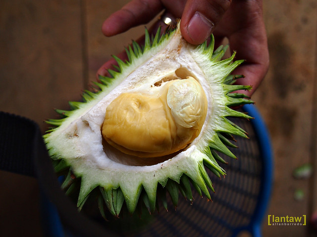Ranau Durian