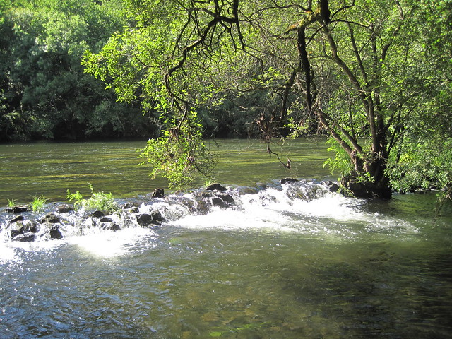 Río Ulla en el PR-G 93 Ruta da Ribeira do Ulla