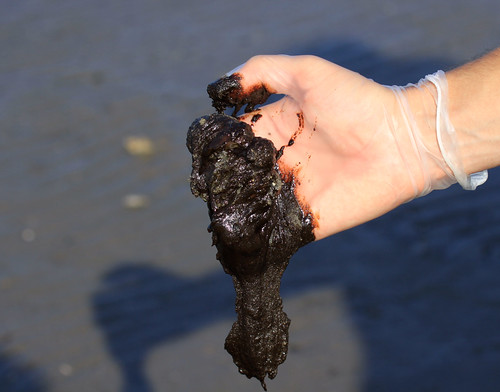 Oil from the natural beach at Grand Isle State Park, July 29, 2010