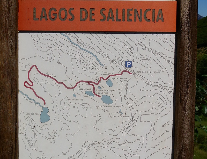 SOMIEDO: ALTO DE LA FARRAPONA, LAGOS DE SALIENCIA Y PICOS ALBOS (Ruta a pie). - Recorriendo Asturias: coche, senderismo y canoa (8)