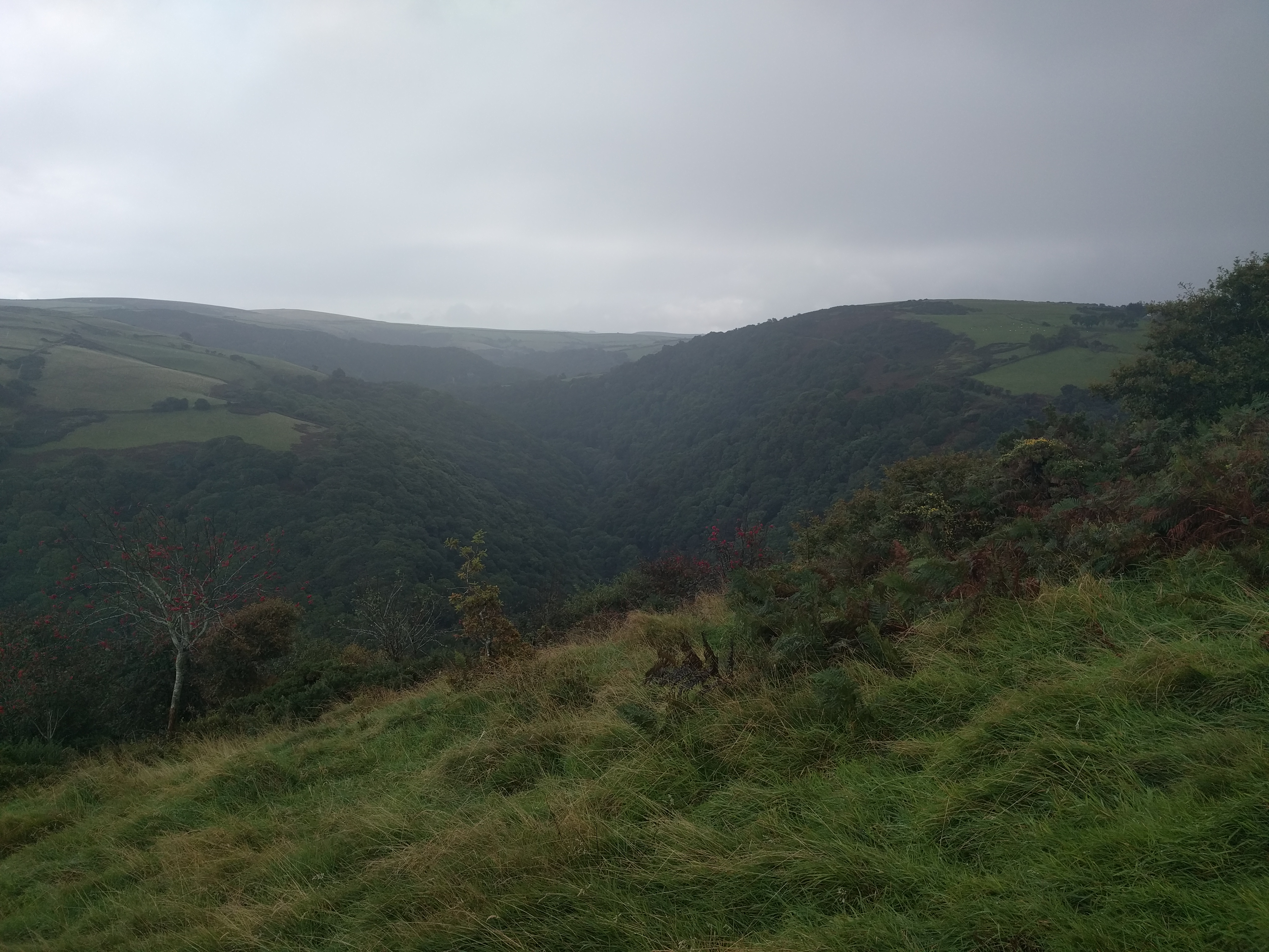 Lyn Cleave #sh #twomoorsway #DevonC2C