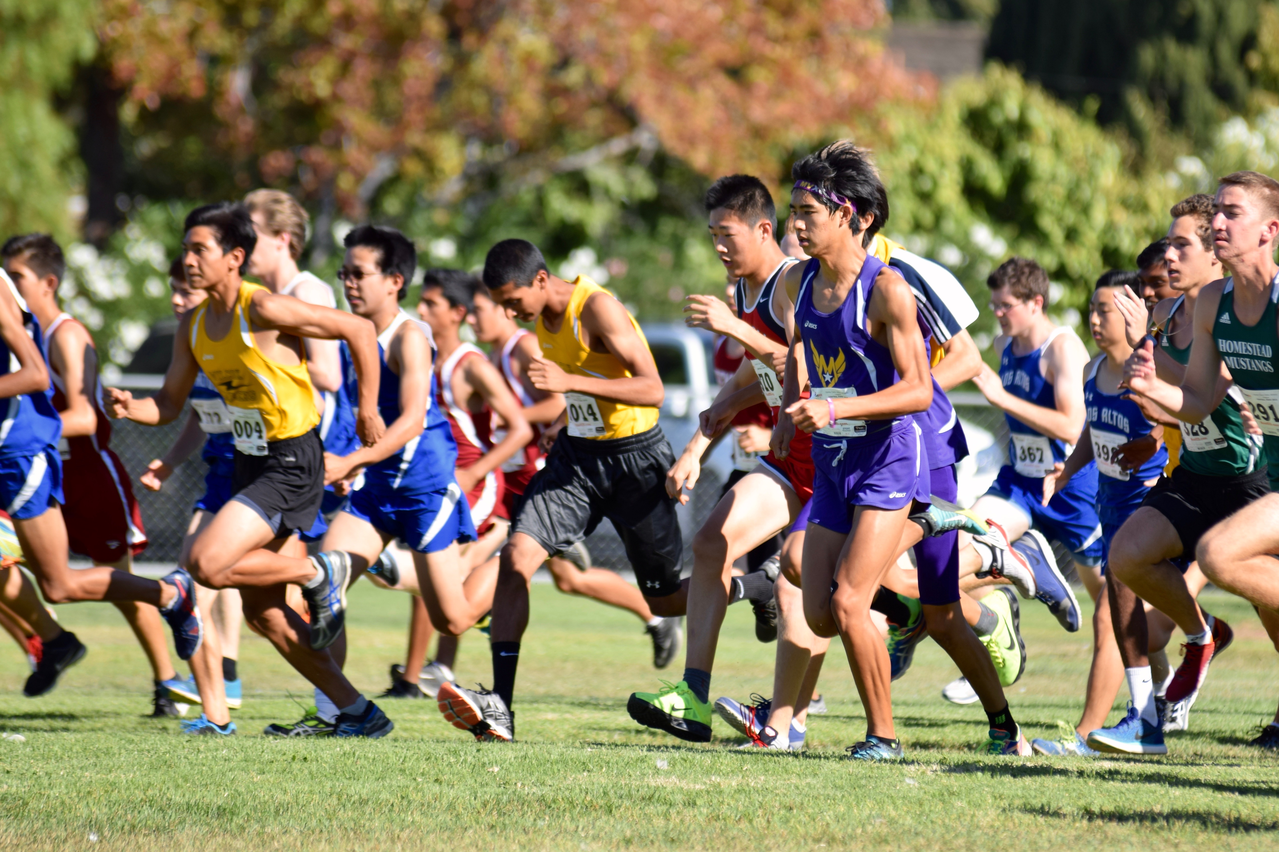 Cross country: Central park meet