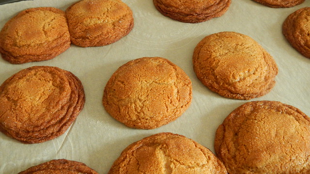 Ginger Molasses Cookies 12