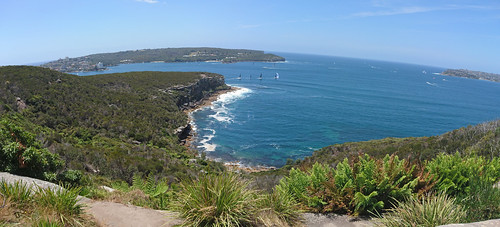 Spit Bridge to Manly Scenic Walk Panorama