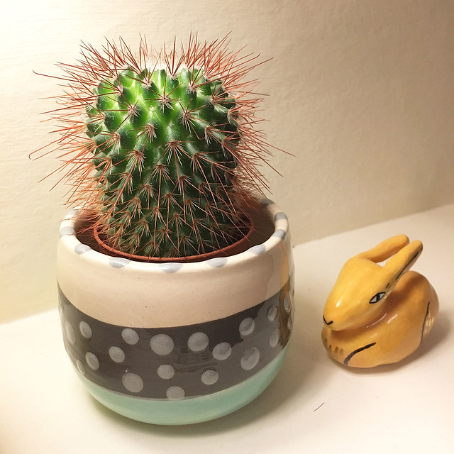 Big thanks to everyone who came down to #etsymadelocal today! I had an amazing time and now back home with a lovely new pot for my cactus by @ceriwhitestudios 🌵💚