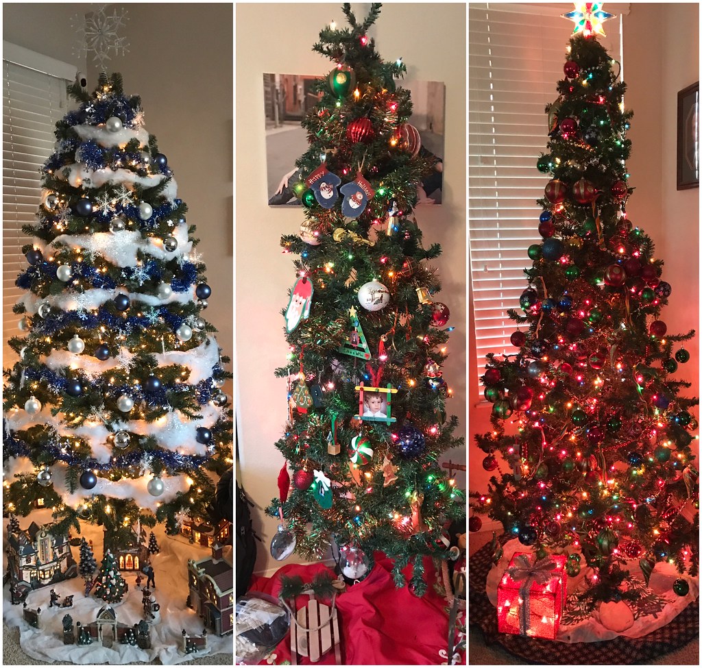 Three Christmas trees