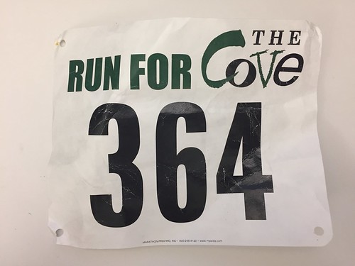 #33 Guilford: Run for the Cove 5K, 10/16/16