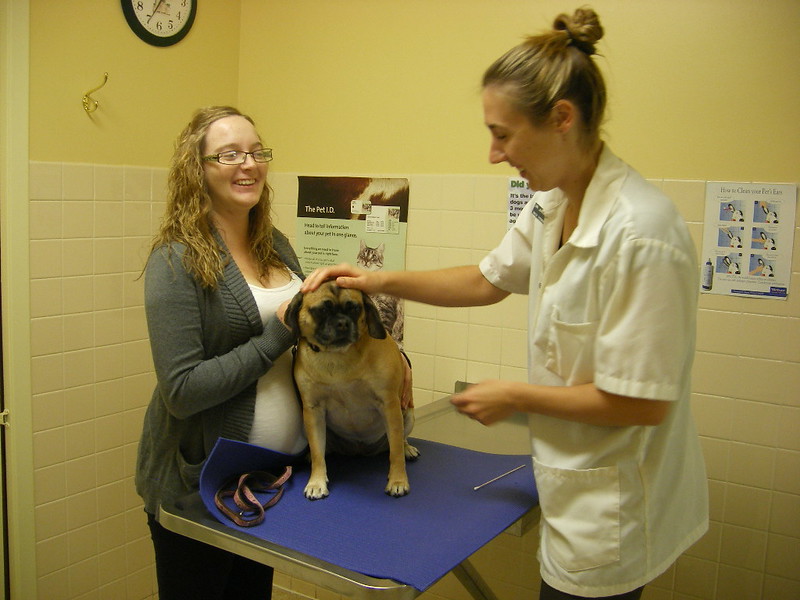 Pauly Veterinary Clinic Tour