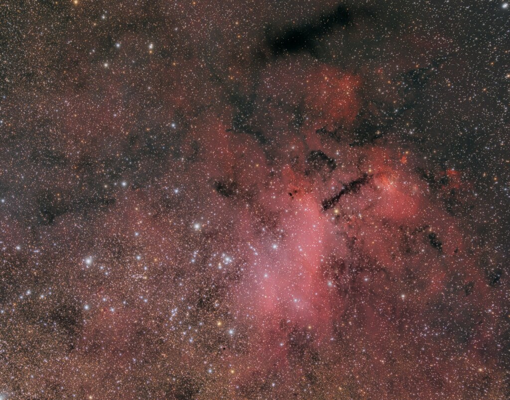 Prawn Nebula