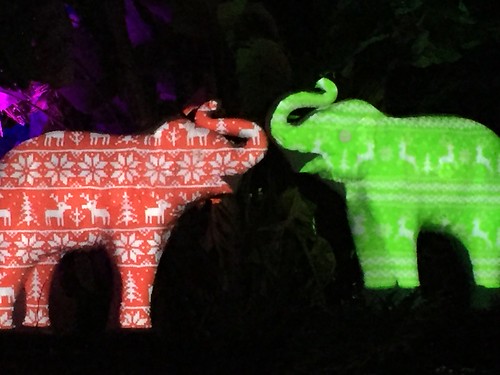 Zoo lights