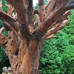 Ai Weiwei - Iron Tree