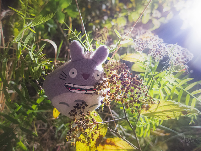 Day #288: totoro believes that the Summer - it's condition of soul