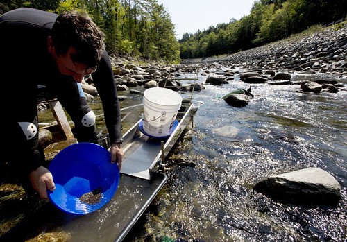 Panning for gold in Wild Ammonoosuc River